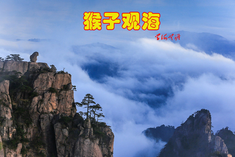 猴子觀海 - 學海無涯 - 讀書之法.在循序而漸進.熟讀而精思