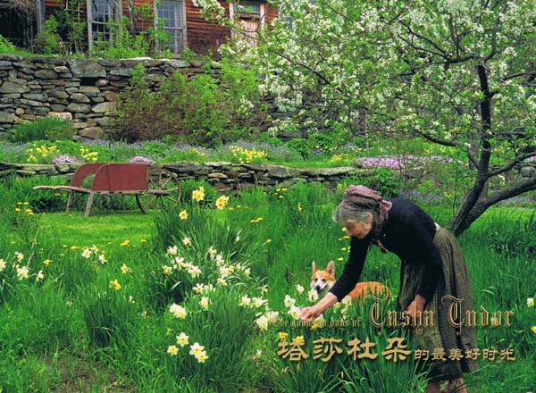 【典藏轉載】塔莎奶奶的美好生活 - 風鈴草 - 風鈴草の安心若素居