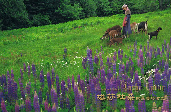 【典藏轉載】塔莎奶奶的美好生活 - 風鈴草 - 風鈴草の安心若素居 【典藏轉載】塔莎奶奶的美好生活 - 風鈴草 - 風鈴草の安心若素居