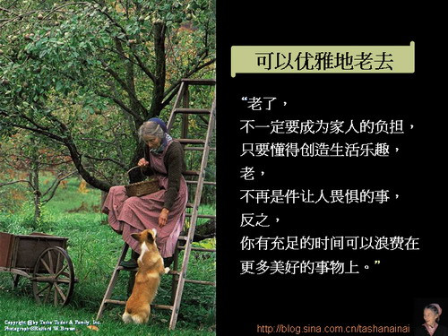 【整理典藏】塔莎奶奶的美好生活 - 風鈴草 - 風鈴草の安心若素居