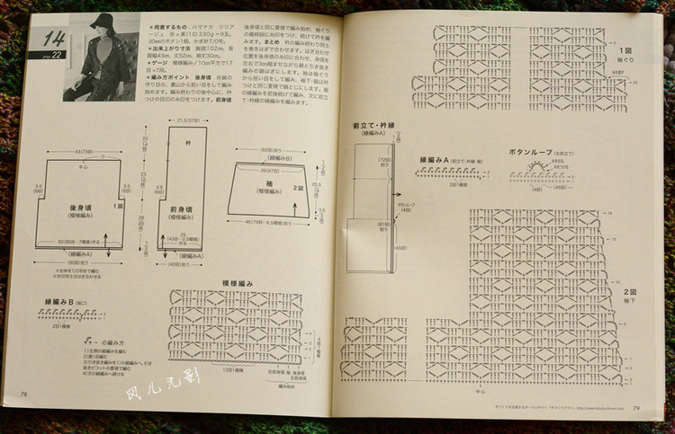 叢林 - 風兒無影 - 風兒無影的博客