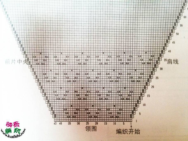 風葉已鳴廊 ——枝枝葉葉總 - 荷塘秀色 - 茶之韻