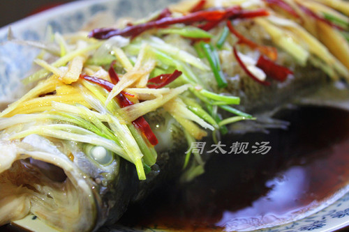 清蒸鱸魚 - 周太靚湯 - 周太靚湯