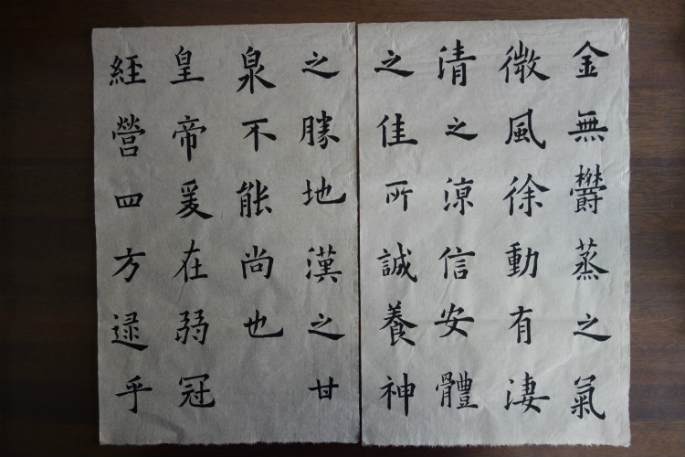 臨習(xí) :九成宮醴泉銘005 - 此情此景 - 此情此景