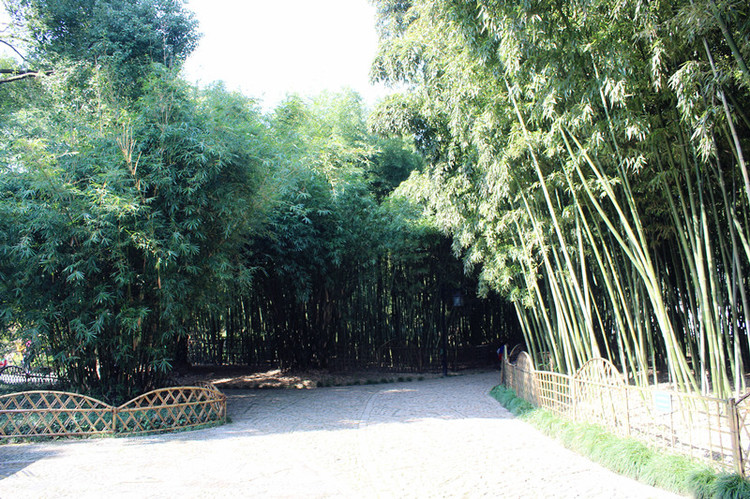【上海】南翔古猗園 - 邂逅 - 悠然生活