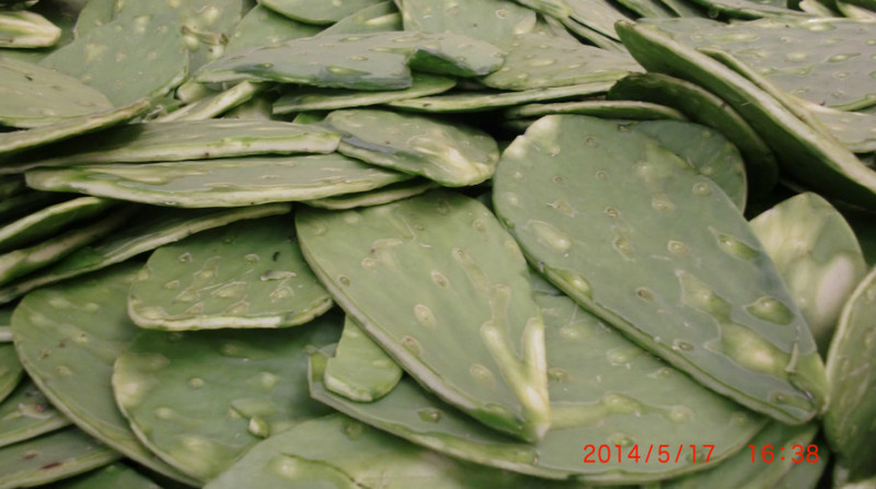 魚頭馬頭中美洲之行（3-5）-美麗的墨西哥城 - cello-ma - cello-ma的博客