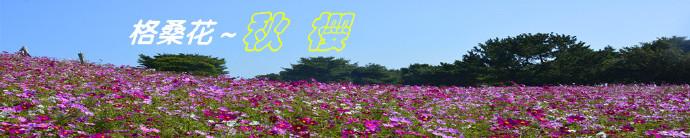 12653-0.jpg