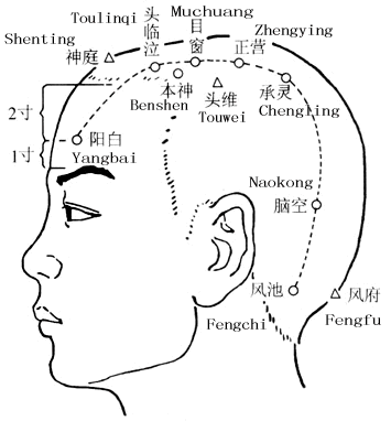 【轉(zhuǎn)載】【引用】六大靈穴通調(diào)一身，風(fēng)寒濕燥火一掃光 - 荷塘秀色 - 茶之韻