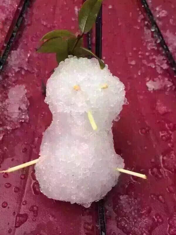 【天南海北】廣州人是這樣堆雪人的～～ - hjg631 - 哈軍工631隊的博客
