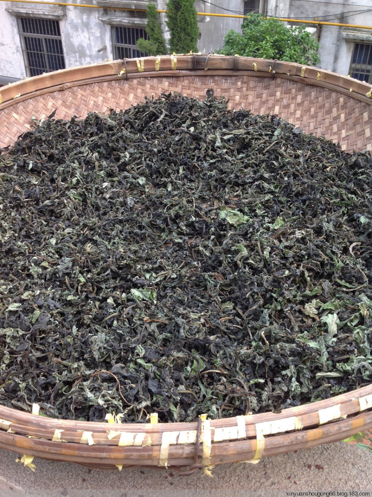 蒲公英咖啡 - 林中漫步 - 鉤針時光