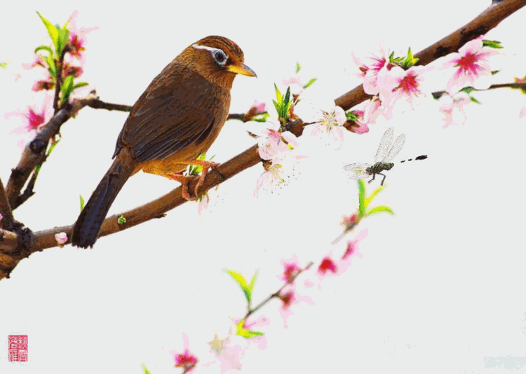【瀟灑藝術-363】精美：動態國畫 - 瀟灑如風 - 瀟灑天地 如意家園