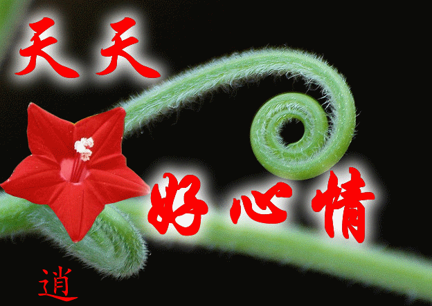 歡迎光臨 - 逍遙客 - 逍遙客