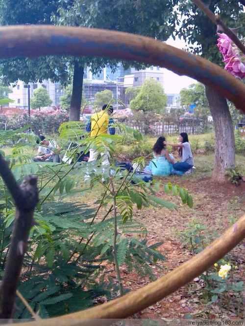 母親節快樂 - 美雅 -         美 雅