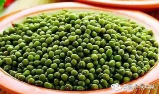 綠豆加雞蛋，竟如此神奇！ - 九毛九 - 九毛九的博客