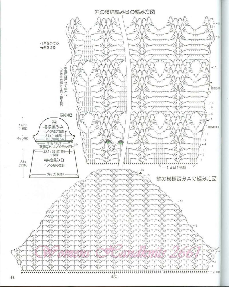 【雨菱整理】——同花順之1  杉樹林 - 雨菱 - 愛是綻放的花朵