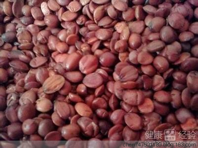 酸棗仁湯的做法 酸棗仁的幾種食用方法 - 真善美 - chen747501189