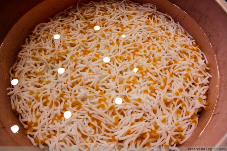 2015年02月28日 - 周太靚湯 - 周太靚湯