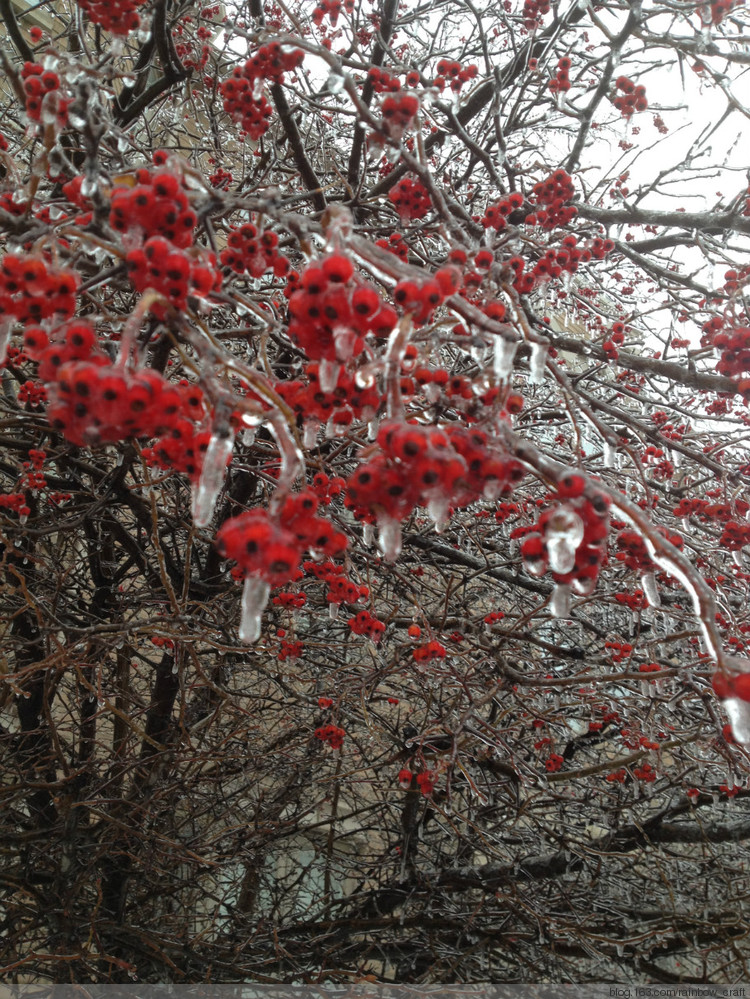 Toronto ---Ice Storm (dec 21-23) - 彩虹橋 - 彩虹橋