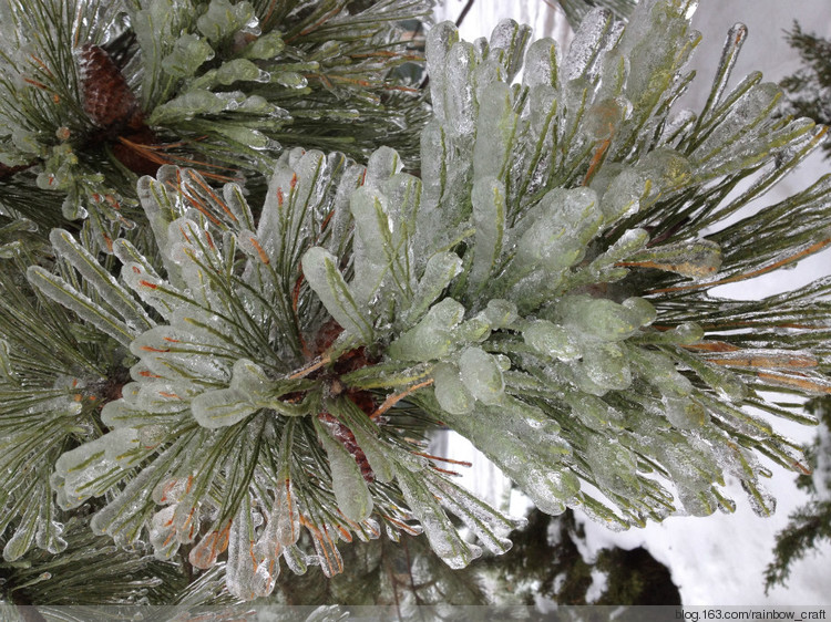 Toronto ---Ice Storm (dec 21-23) - 彩虹橋 - 彩虹橋