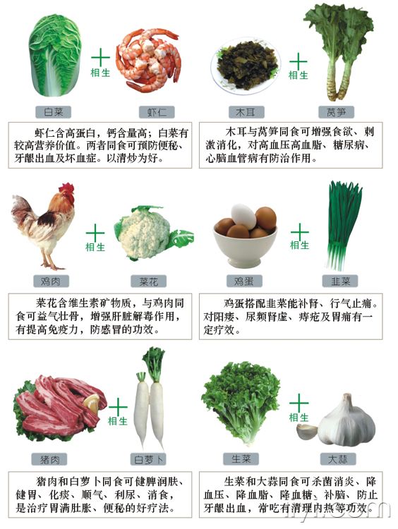 食物相生相克圖表 - 阿明的手工坊 - 千針萬線