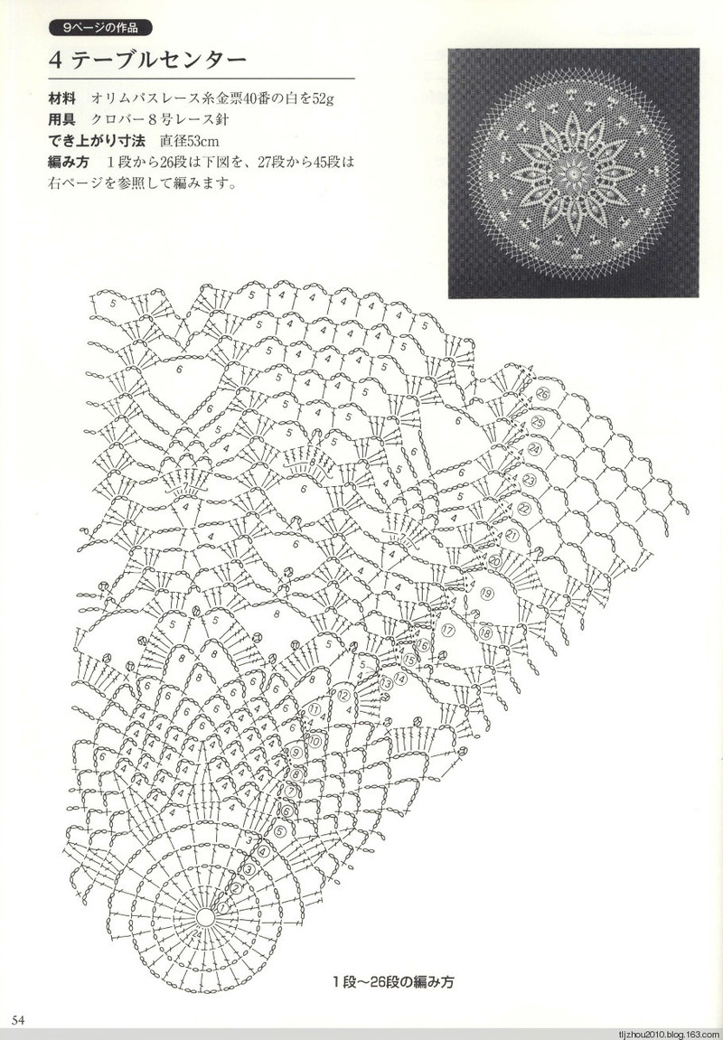 Suteki Pineapple Crochet Laces 2011 - 紫蘇 - 紫蘇的博客