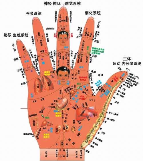長(zhǎng)壽從腿腳保健開(kāi)始 - fpl9981 - fpl9981的博客