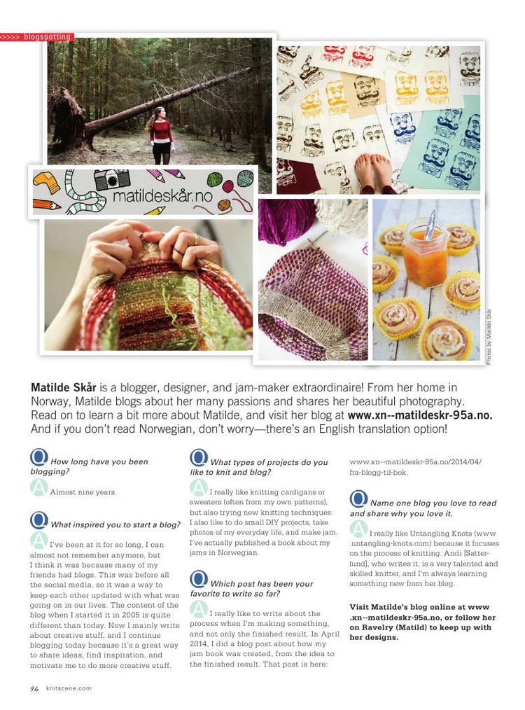Knitscene  Winter 2014 - 輕描淡寫 - 輕描淡寫