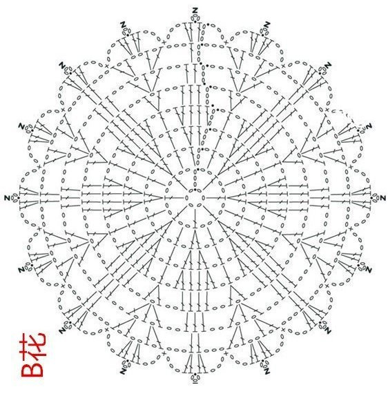 在陽(yáng)光下花開 - 最愛玫瑰 - 最愛玫瑰的博客