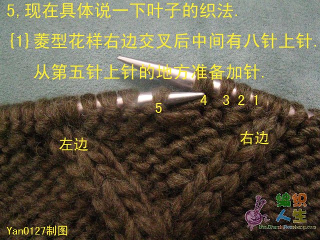 一款漂亮的毛衣——棒針麻花 羊毛長款交叉毛衣 - 手有于香 - 手有于香的博客 圖片