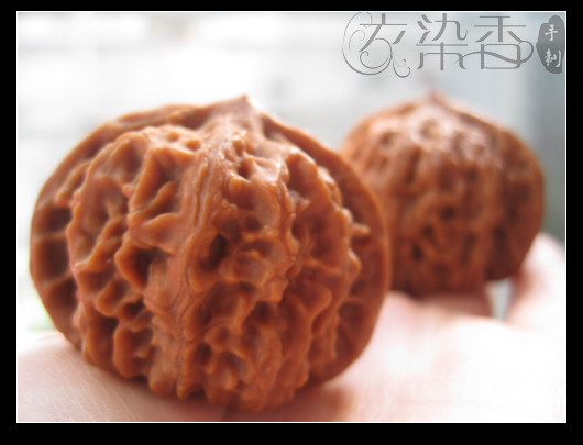 時光的片段…隨手拍的一些記錄… - 衣染香 - 若蘭軒