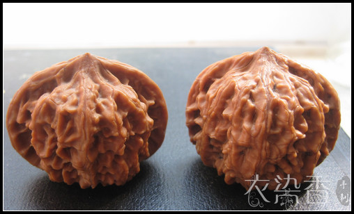 時光的片段…隨手拍的一些記錄… - 衣染香 - 若蘭軒