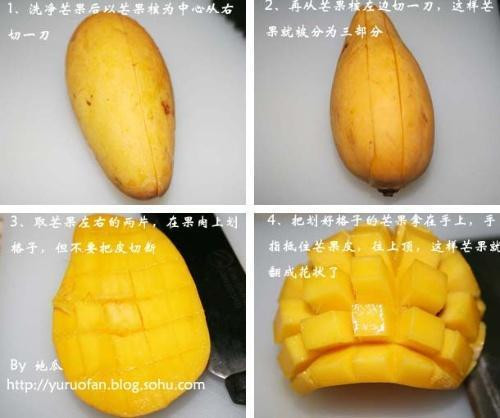 學學吧！水果可以切得這么漂亮 - xrzs000 - 心如止水