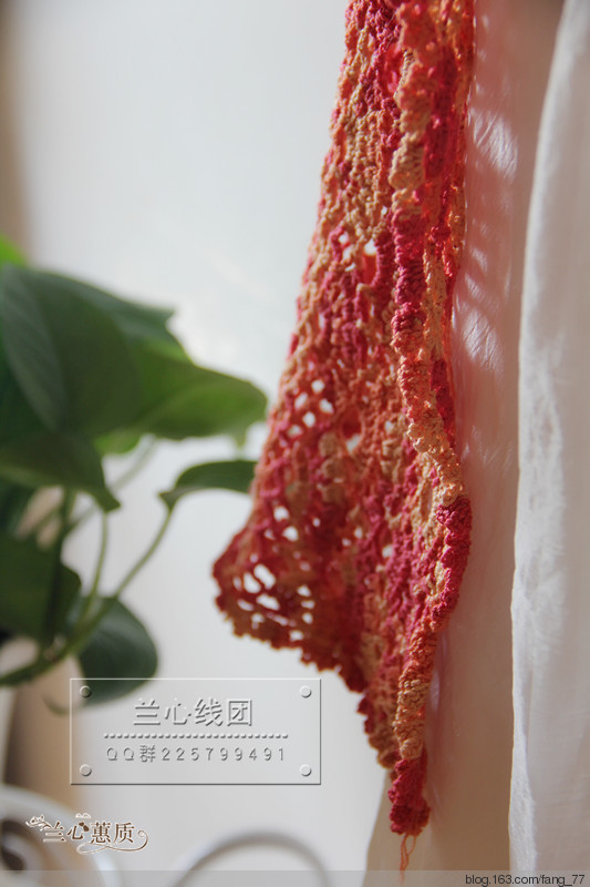 虞美人~~夏日的漸變色（蘭心蕙質2015） - 蘭心蕙質 - 蘭心蕙質藍云海
