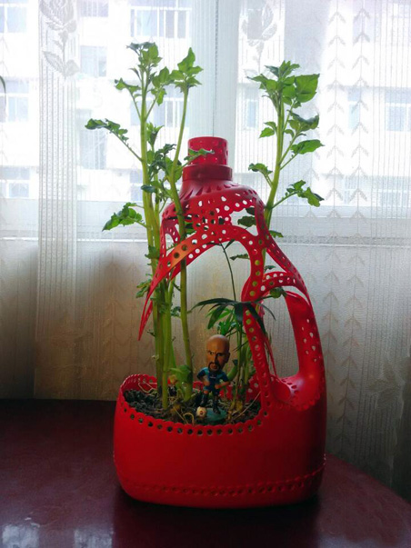 民間高手；用洗衣液瓶做成“花盆”，太漂亮了，太厲害了！ - 李逵的博客