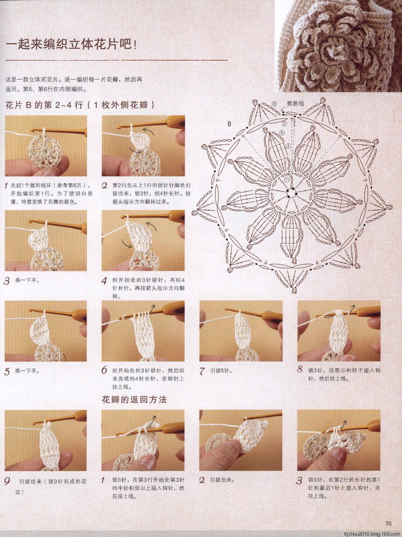 Elegant Crochet Lace 2013 - 紫蘇 - 紫蘇的博客