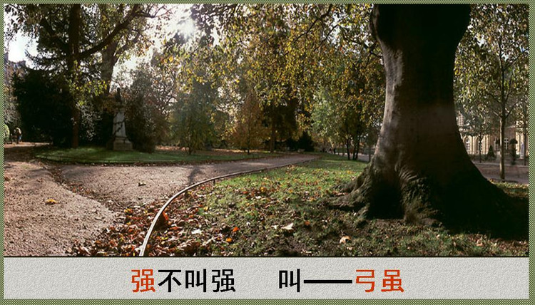 2014年11月10日 - Rose - Rose Yang的博客