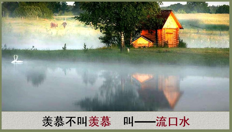 2014年11月10日 - Rose - Rose Yang的博客