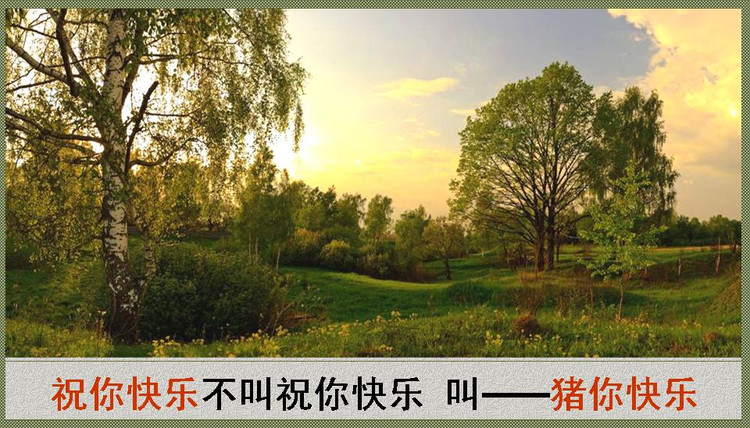2014年11月10日 - Rose - Rose Yang的博客