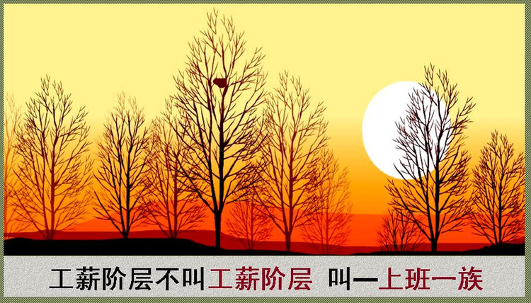 2014年11月10日 - Rose - Rose Yang的博客