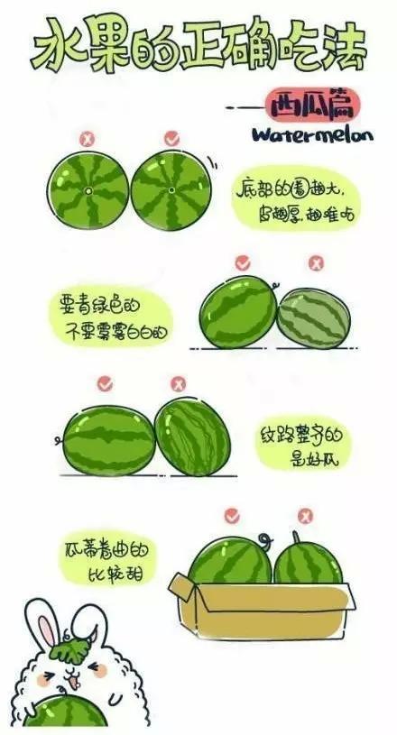 最全的水果剝皮新技能，看完你一定是剝皮高手！ - 海闊天空 - 海闊天空