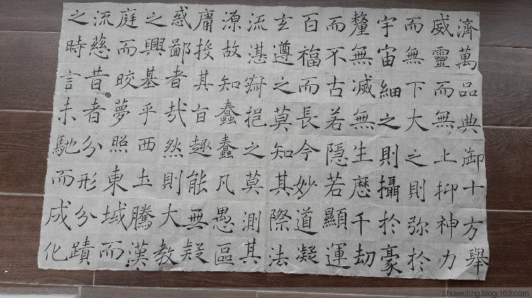 臨習：趙世駿臨褚遂良雁塔圣教序 - 此情此景 - 此情此景