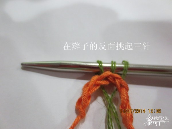 煙雨蒙蒙之孔雀開屏 - 小瞇眼  - 小瞇眼
