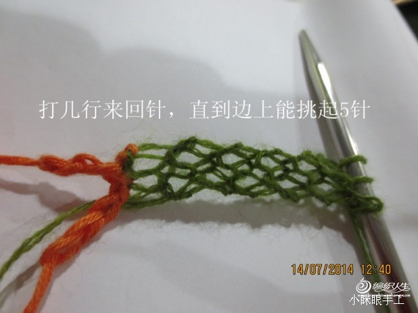 煙雨蒙蒙之孔雀開屏 - 小瞇眼  - 小瞇眼
