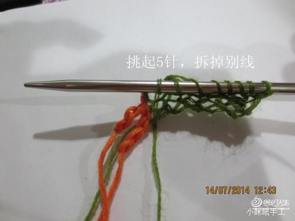 煙雨蒙蒙之孔雀開屏 - 小瞇眼  - 小瞇眼