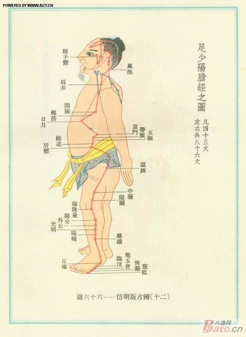 敲膽經---敲掉垃圾、敲除白發(fā)、敲掉肥胖 - 鱈鯡鮩鮚 - 鱈鯡鮩鮚的博客 敲膽經---敲掉垃圾、敲除白發(fā)、敲掉肥胖 - 鱈鯡鮩鮚 - 鱈鯡鮩鮚的博客