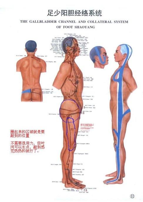 敲膽經---敲掉垃圾、敲除白發(fā)、敲掉肥胖 - 鱈鯡鮩鮚 - 鱈鯡鮩鮚的博客 敲膽經---敲掉垃圾、敲除白發(fā)、敲掉肥胖 - 鱈鯡鮩鮚 - 鱈鯡鮩鮚的博客