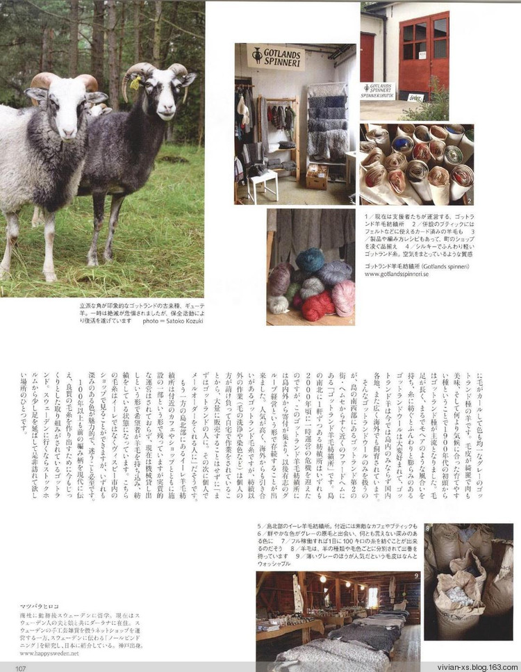 毛糸だまKeito Dama 2015年冬 - Vivian - Vivian的薇安織譯坊