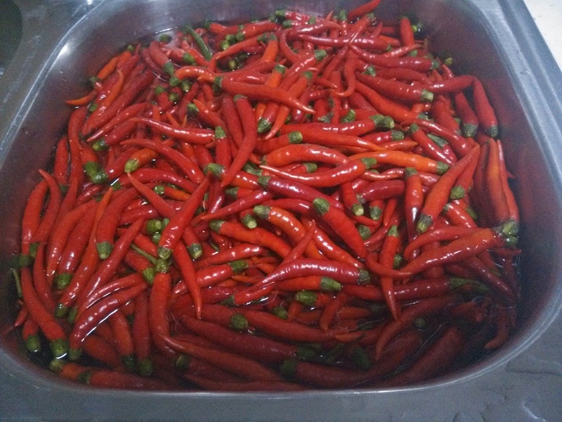 自制剁椒 - 葉子的小廚 - 葉子的小廚