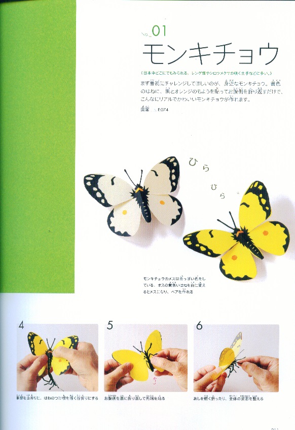 46970-3.jpg