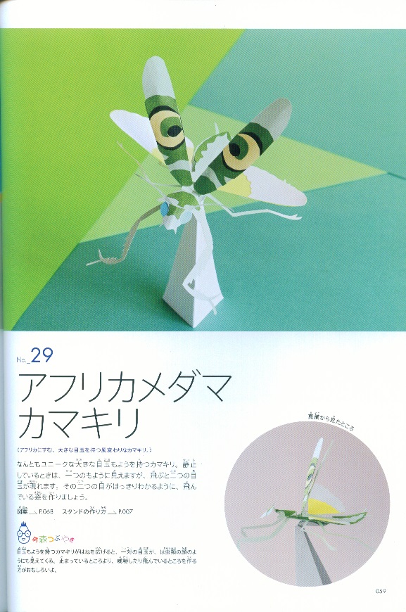 46970-7.jpg